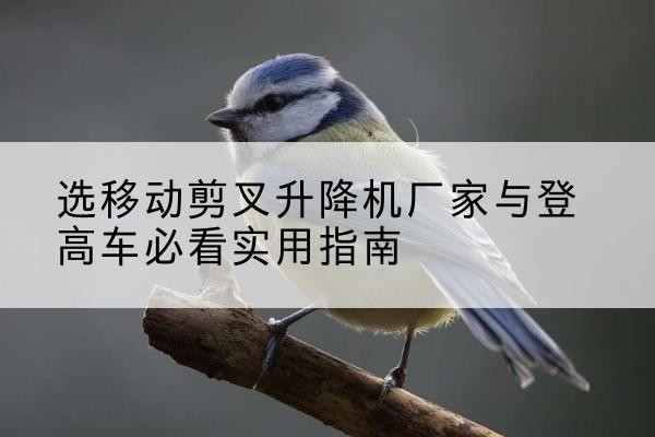 花都电动升降机厂家-选移动剪叉升降机厂家与登高车必看实用指南