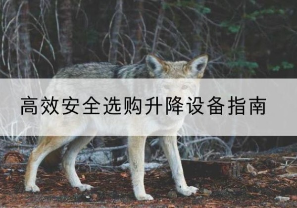 花都升降货梯厂家推荐-*安全选购升降设备指南