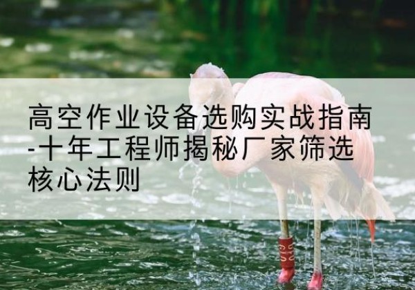 花都剪叉式升降机厂家-高空作业设备选购实战指南-十年工程师揭秘厂家筛选核心法则